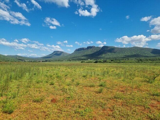 Hemp Field Landscape