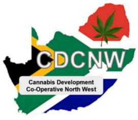 CDCSA Logo